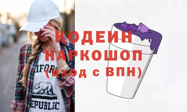 индика Балахна