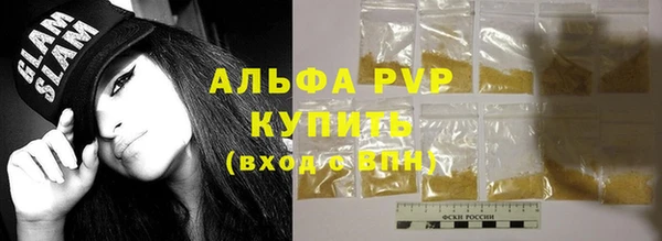 индика Балахна