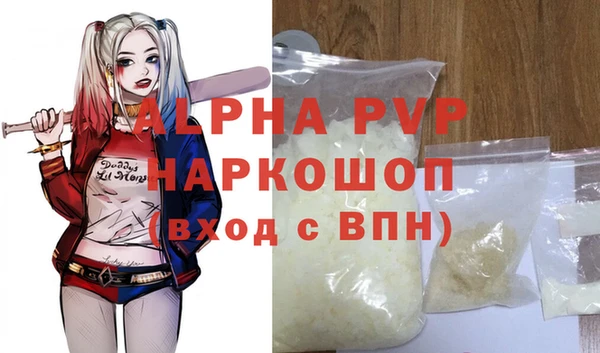 индика Балахна