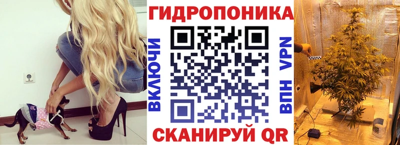 Шишки марихуана OG Kush  Николаевск-на-Амуре 